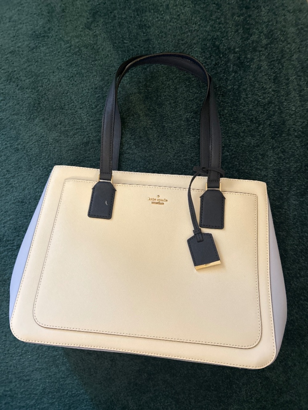 Kate Spade Cameron Street Hayden Bag with Dust Bag BRAND NEW
